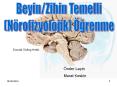 Beyin/Zihin Temelli PowerPoint PPT Presentation