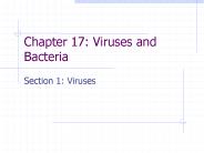 Chapter 17: Viruses and Bacteria