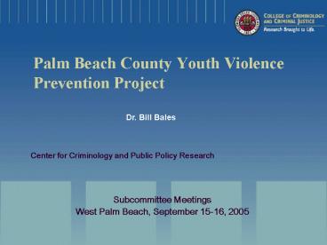 Palm Beach County Youth Violence Prevention Project
