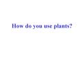 How do you use plants? PowerPoint PPT Presentation