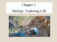 Biology: Exploring Life PowerPoint PPT Presentation