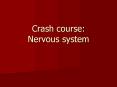 Crash course:  Nervous system PowerPoint PPT Presentation
