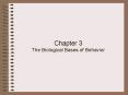 Chapter 3 The Biological Bases of Behavior PowerPoint PPT Presentation