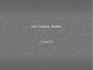 Soil Organic Matter