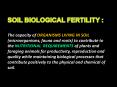 SOIL BIOLOGICAL FERTILITY : PowerPoint PPT Presentation