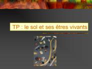 TP : le sol et ses 