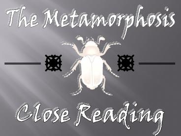 The Metamorphosis