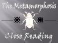 The Metamorphosis PowerPoint PPT Presentation