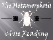The Metamorphosis