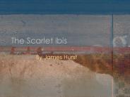 The Scarlet Ibis
