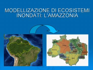 MODELLIZAZIONE DI ECOSISTEMI INONDATI: L