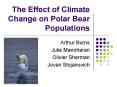 The Effect of Climate Change on Polar Bear Populations PowerPoint PPT Presentation