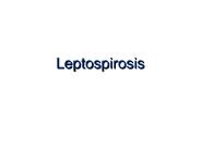 Leptospirosis
