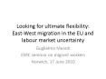 Looking for ultimate flexibility: East-West migration in the EU and labour market uncertainty PowerPoint PPT Presentation