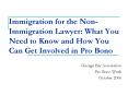 Immigration for the Non-Immigration Lawyer: What You Need to Know and How You Can Get Involved in Pro Bono PowerPoint PPT Presentation