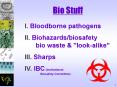 Bio Stuff PowerPoint PPT Presentation