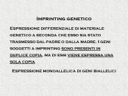 Imprinting genetico