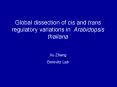 Global dissection of cis and trans regulatory variations in Arabidopsis thaliana PowerPoint PPT Presentation