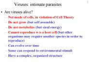 Viruses: intimate parasites