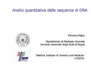 Analisi quantitativa delle sequenze di DNA