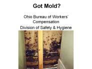 Got Mold?