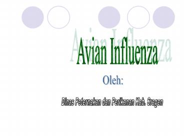 AVIAN INFLUENZA  (FLU BURUNG)