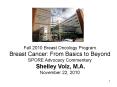 Fall 2010 Breast Oncology Program Breast Cancer: From Basics to Beyond SPORE Advocacy Commentary Shelley Volz, M.A. November 22, 2010 PowerPoint PPT Presentation