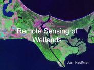 Remote Sensing of Wetlands