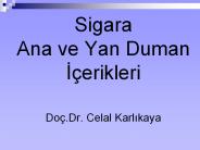 Sigara Ana ve Yan Duman I