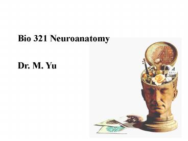 Bio 321 Neuroanatomy