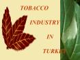 TOBACCO         INDUSTRY            IN               TURKEY PowerPoint PPT Presentation