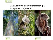 Diapositiva 1