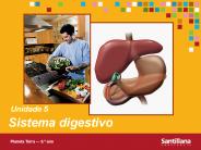 Diapositivo 1