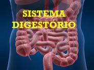 SISTEMA DIGEST