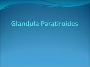 Glandula Paratiroides