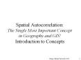 Spatial Autocorrelation: The Single Most Important Concept in Geography and GIS! Introduction to Concepts PowerPoint PPT Presentation
