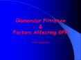 Glomerular Filtration PowerPoint PPT Presentation