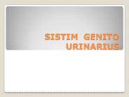 SISTIM GENITO URINARIUS