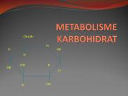 METABOLISME KARBOHIDRAT