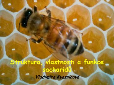 Struktura, vlastnosti a funkce sacharidu