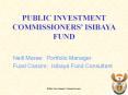 PUBLIC INVESTMENT COMMISSIONERS PowerPoint PPT Presentation