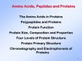 Amino Acids, Peptides and Proteins PowerPoint PPT Presentation