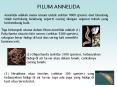 FILUM ANNELIDA PowerPoint PPT Presentation