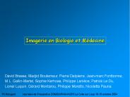 Imagerie en Biologie et M