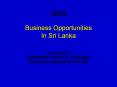 Business Opportunities PowerPoint PPT Presentation