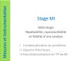 Stage MI PowerPoint PPT Presentation
