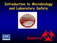 Introduction to Microbiology and Laboratory Safety PowerPoint PPT Presentation