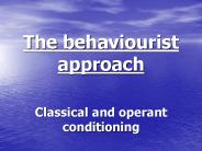 The behaviourist approach