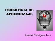 PSICOLOGIA DE APRENDIZAJE