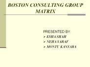 BOSTON CONSULTING GROUP           MATRIX